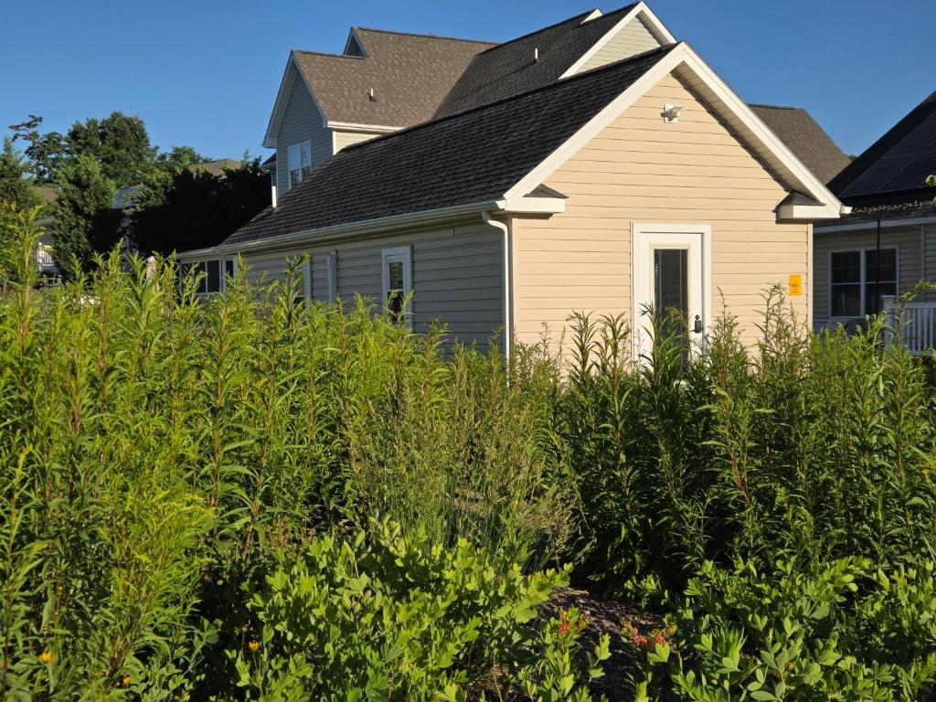 a house with a lot of bushes in front of it at Garden Guest Cottage in Harrisonburg