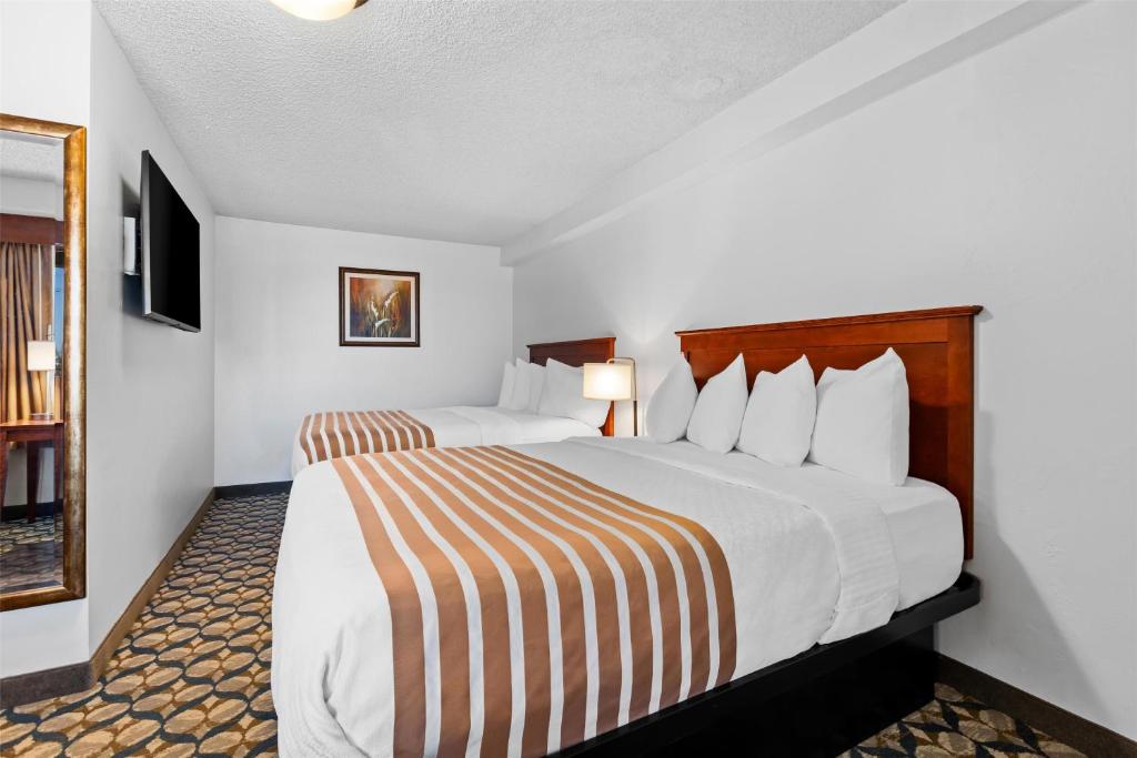 Best Western Vista Inn at the Airport photo