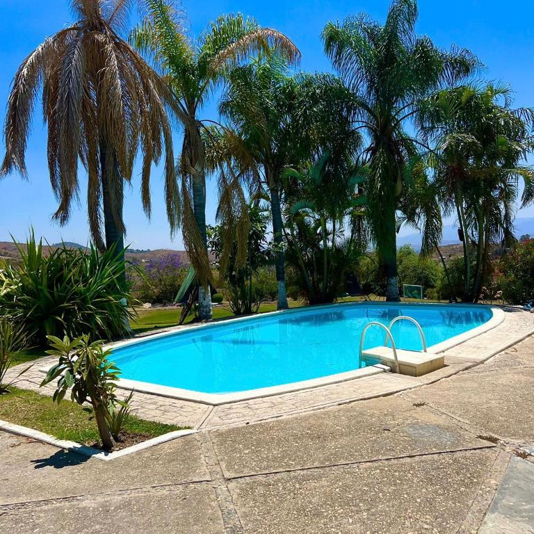 a swimming pool with palm trees in the background at Estancia las Jacarandas Cabañas in San Gabriel Etla