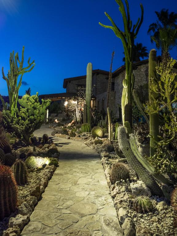 Vonkajšia záhrada v ubytovaní Garden Cactus