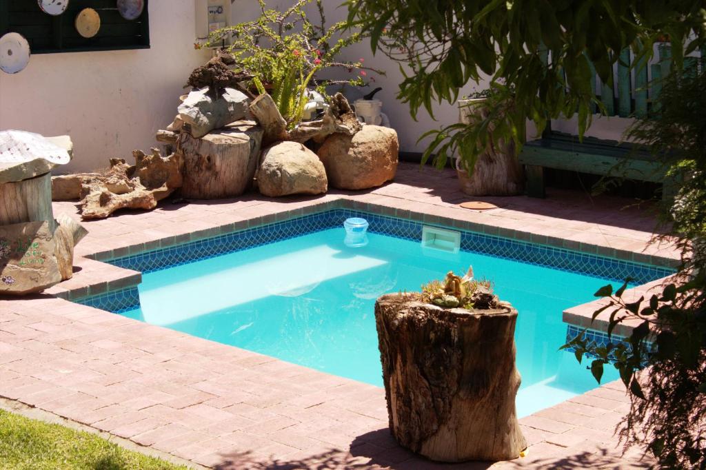 a swimming pool with a tree stump in the middle at Cathy's Guest House in Cradock