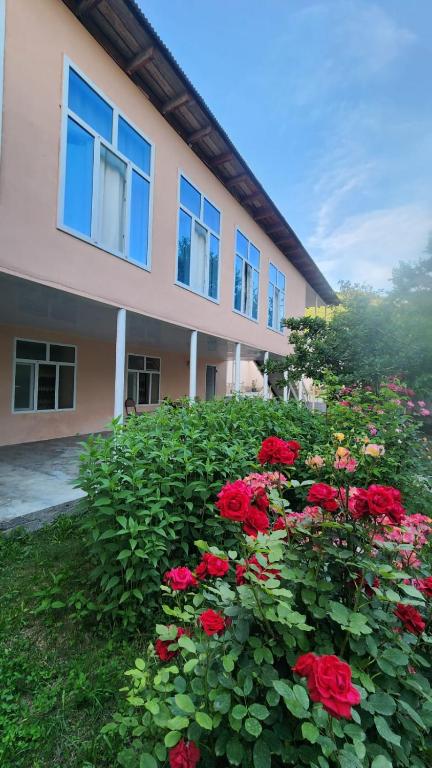 a bush of red roses in front of a building at Sheki Garden Guest House in Sheki