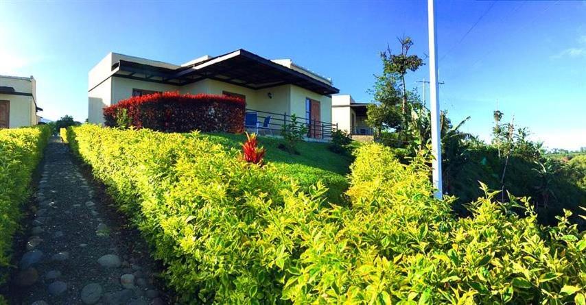 a house on a hill with a path in front at Riverwalk cabañas junto al rio in Calarcá