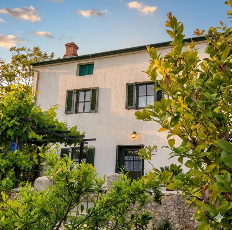 an exterior view of a house with green shutters at Country house Viskic in Supetarska Draga