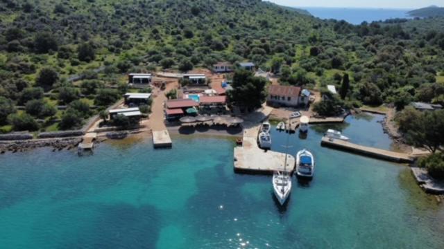 a boat is docked at a dock in the water at Beach house Sofia in Otok Žut