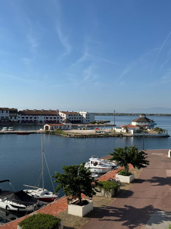 Appartement avec piscine vue port de la Coudalère