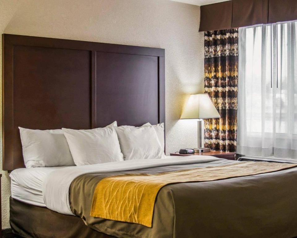 Comfort Inn Birch Run - Frankenmuth photo