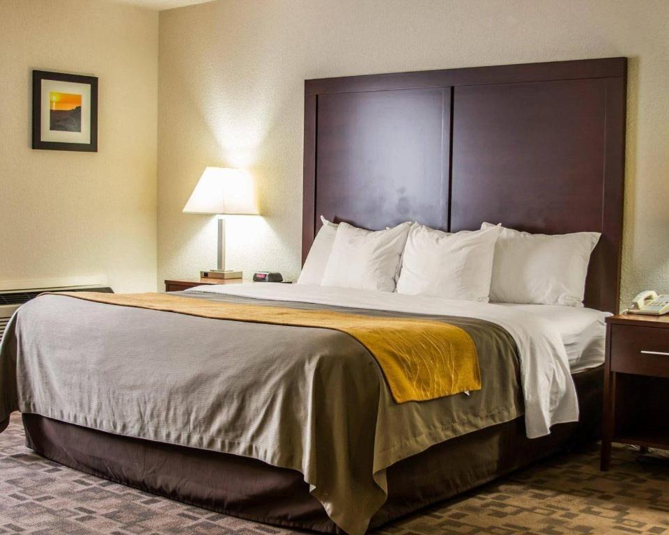 Comfort Inn Birch Run - Frankenmuth photo