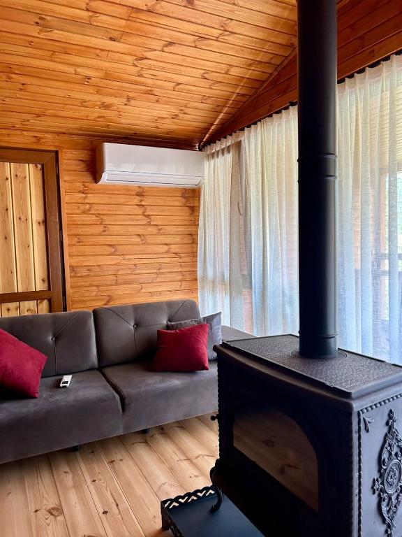 a living room with a couch and a stove at ShodaView in Oni