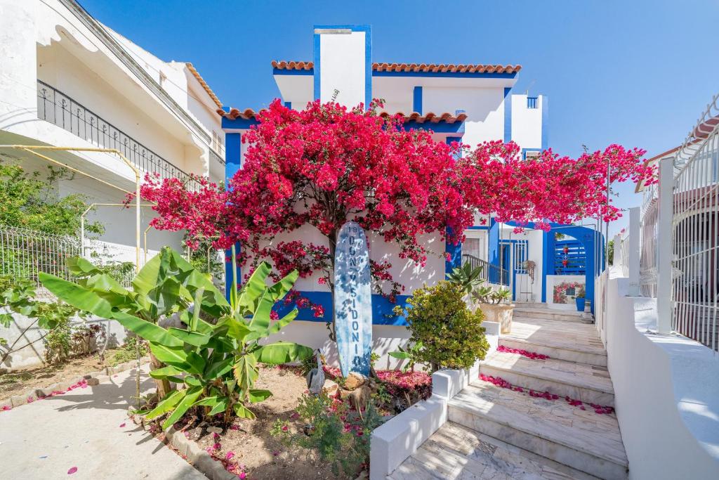 a building with a bunch of pink flowers on it at Don Sidónio Alojamentos in Portimão