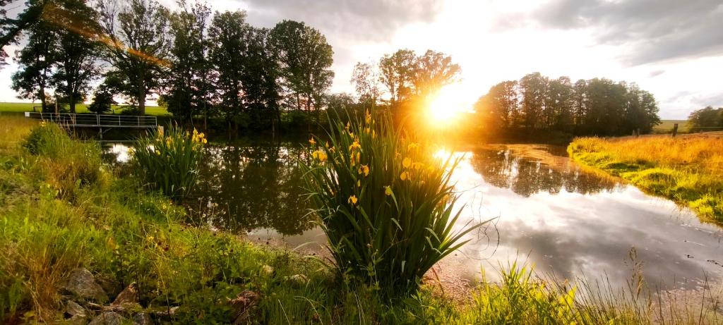 a body of water with the sun in the background at Špulka Hideaway - Romantic Forest Escape near Prague in Teplýšovice