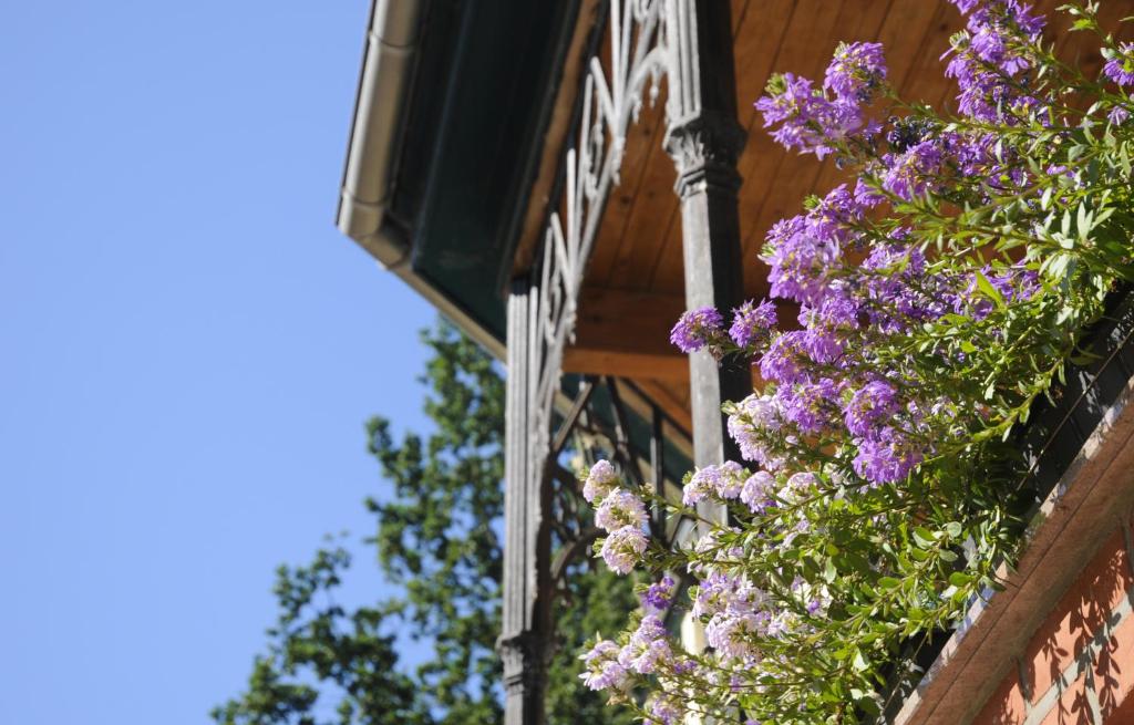BoddinにあるGutshaus Alt Vorwerkの紫花束