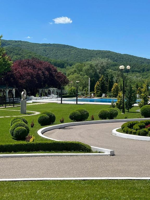 a park with a fountain and a swimming pool at Pensiunea Eden in Jibou
