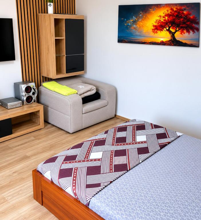 a living room with a bed and a couch at Apartman Pejovic N in Smederevo