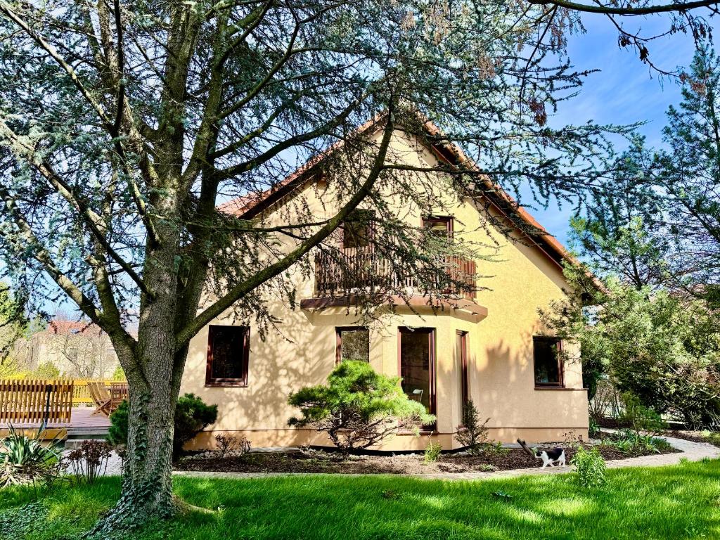 a yellow house with a tree in the yard at Haus Altburgstädtel in Dresden