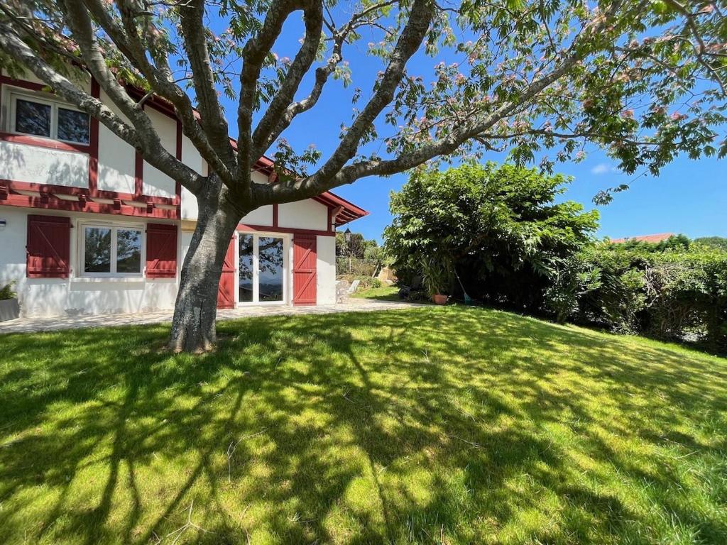 a tree in the yard of a house at Bidart, maisonnette sur les Pyrénées in Bidart