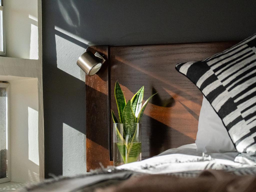 a vase with a plant in it next to a bed at Namib Naukluft Lodge in Solitaire