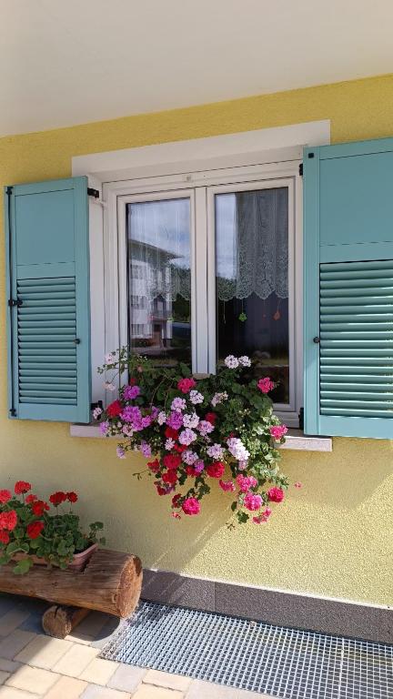 Agritur Belsogno B&B