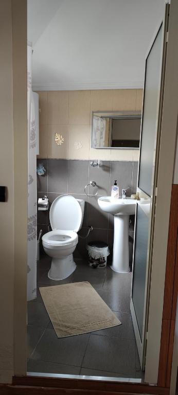 Lille France Apartments - 