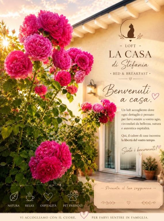 a bunch of pink flowers in front of a building at La Casa di Stefania LOFT in Pollutri