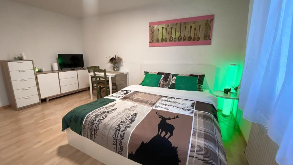a bedroom with a bed with a green and white blanket at Charmantes Studio in Solothurn