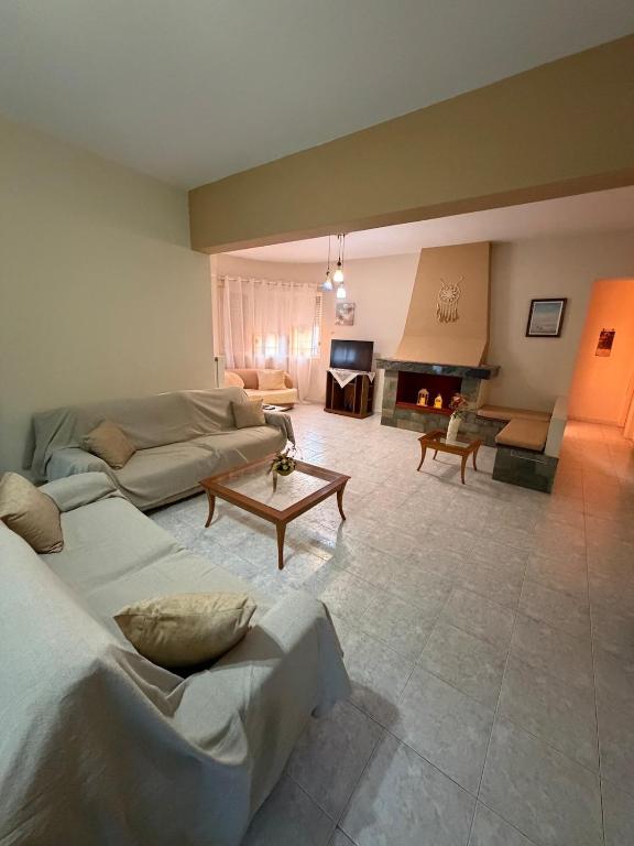 a living room with two couches and a fireplace at Silver View House in Theologos