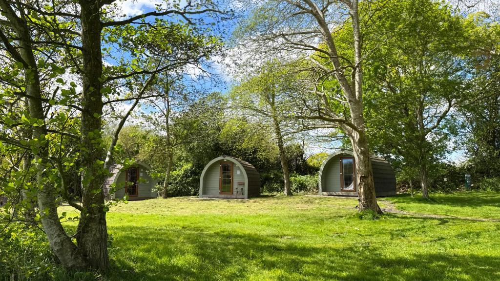 a house in the middle of a field with trees at Chestnut Meadow Camping & Glamping in Sidley