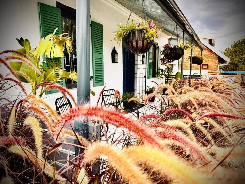 a group of plants in front of a house at B's Cottage Swellendam in Swellendam