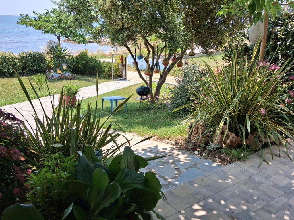 a garden with plants and a walkway near the water at Villa Alexander in Xanthi