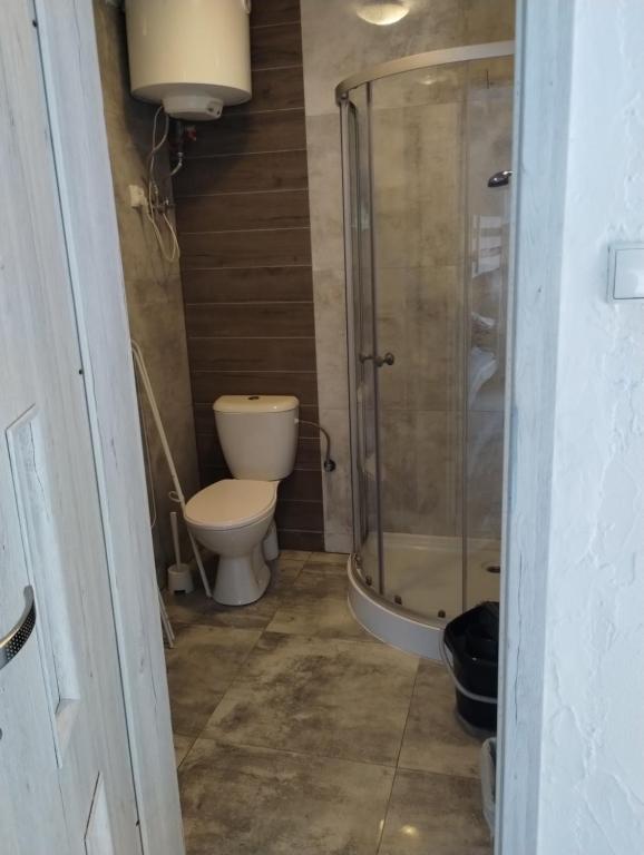 a bathroom with a toilet and a glass shower at Ośmiorniczka Skorzęcin in Skorzęcin