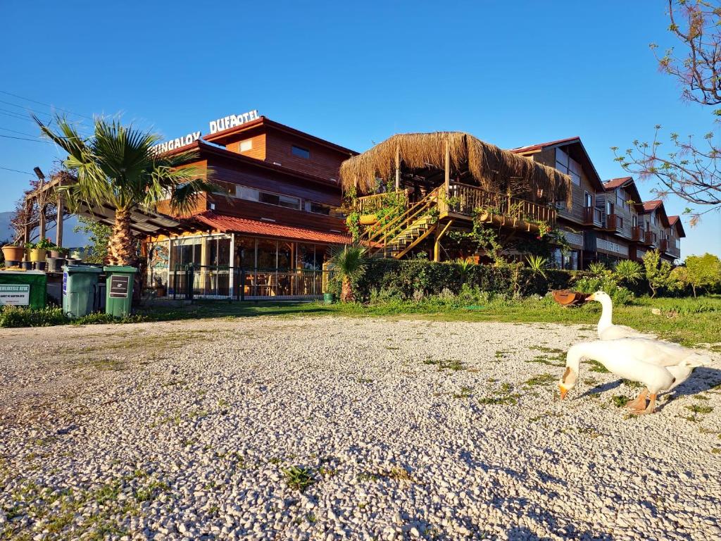 a duck walking in front of a building at Dufa Bungalow Hotel in Demre