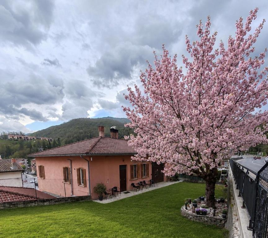 a magnolia tree in a yard with a house at B&B Il Tralcio in Cascia