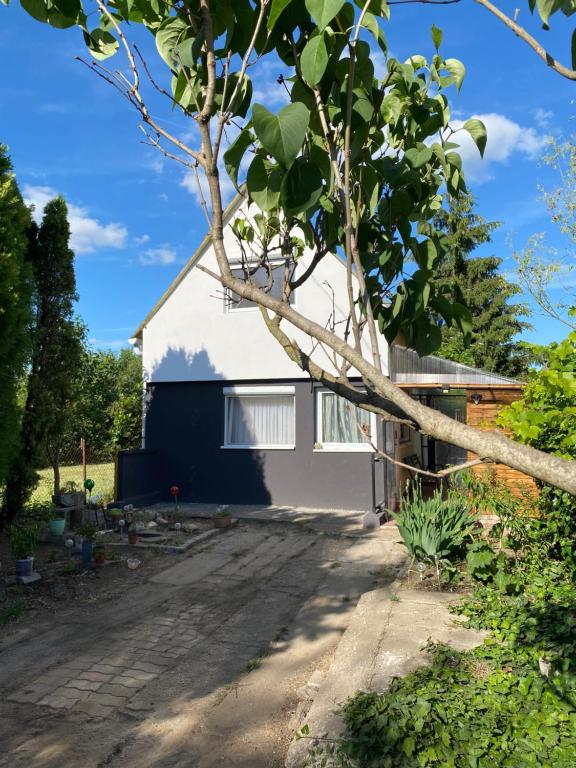 a house with a tree in front of it at Zserbó lak in Kisapostag