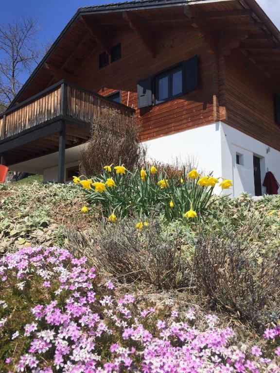 a house with flowers in front of it at Cozy chalet with panoramic views in Leysin in Leysin