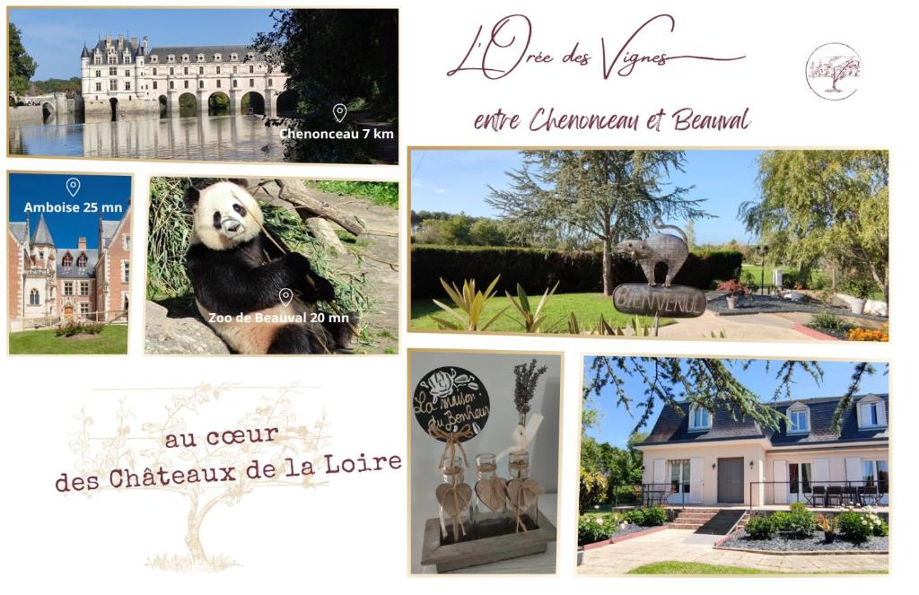 a collage of photos of a panda bear and buildings at L'Orée des Vignes 41 - Chambres d'hôtes in Saint-Georges-sur-Cher