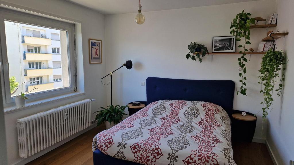 Charmante chambre à proximité des institutions européennes