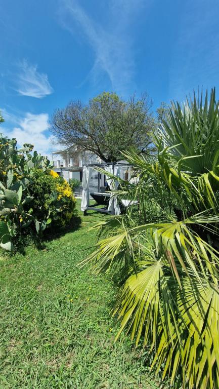 a yard with palm trees and a house at Country Chic Antico Casale - piscina idromassaggio lettini, solarium, cinema experience, wifi, parcheggio in Caiazzo