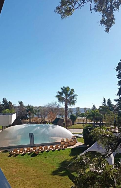 a large swimming pool in a park with trees at Hotel Domus Auditorium Suites in Villa Carlos Paz
