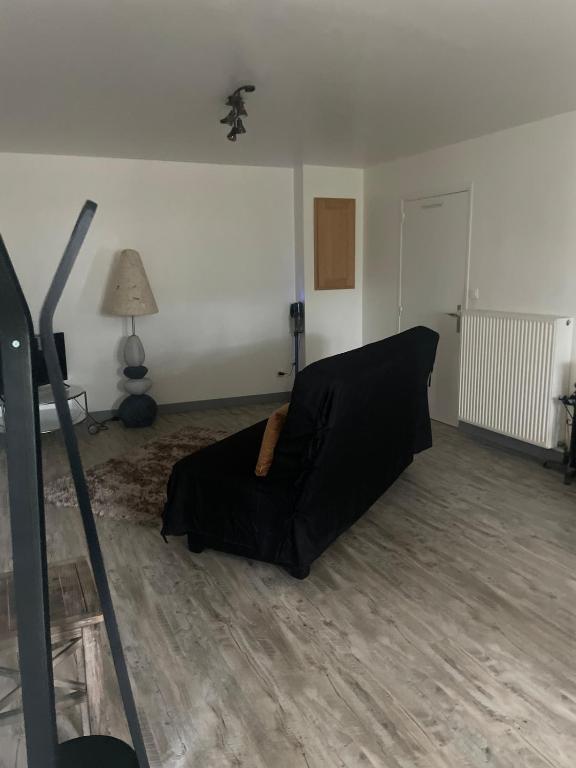 a living room with a black couch and a lamp at Appartement calme et serein in Vals-près-le-Puy