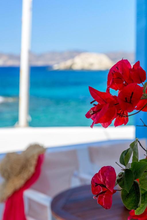 a red flower sitting on a table in front of a window at Esperanza Home Mandrakia in Mandrakia