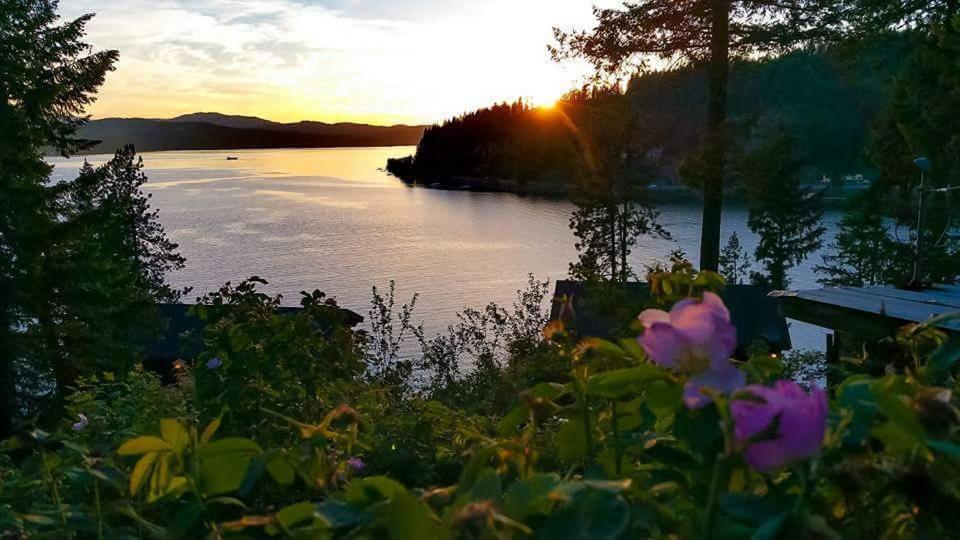 a view of a lake at sunset with flowers at Bennett Bay Inn in Coeur d'Alene