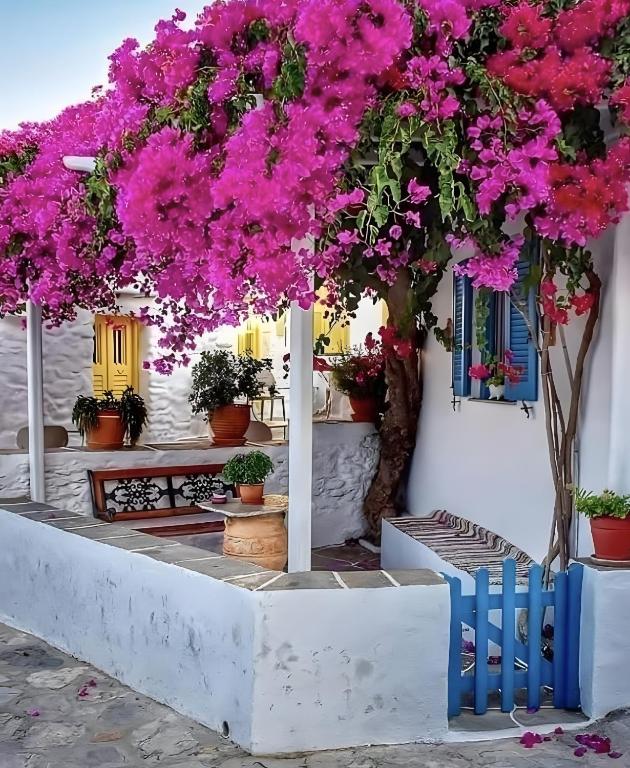 a garden with pink flowers on a white building at Penny 's House in Artemonas