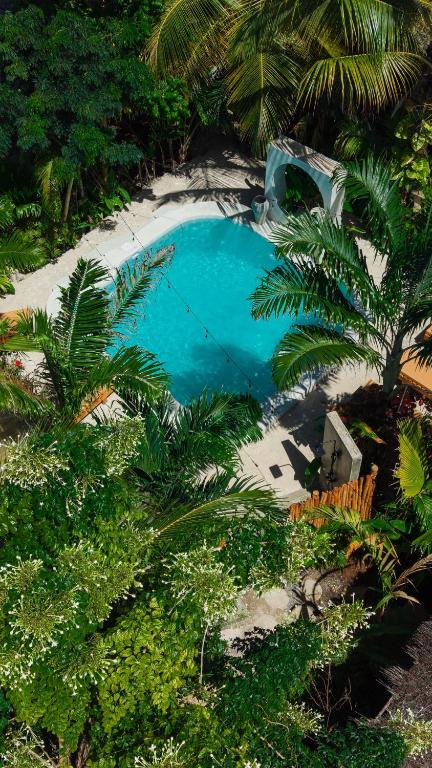 an overhead view of a swimming pool in a garden at The Garten Living in Paje