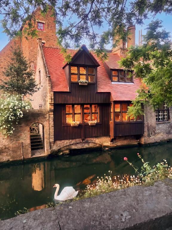 a swan in the water in front of a house at Luxury Guesthouse Bonifacius - unique location in Bruges