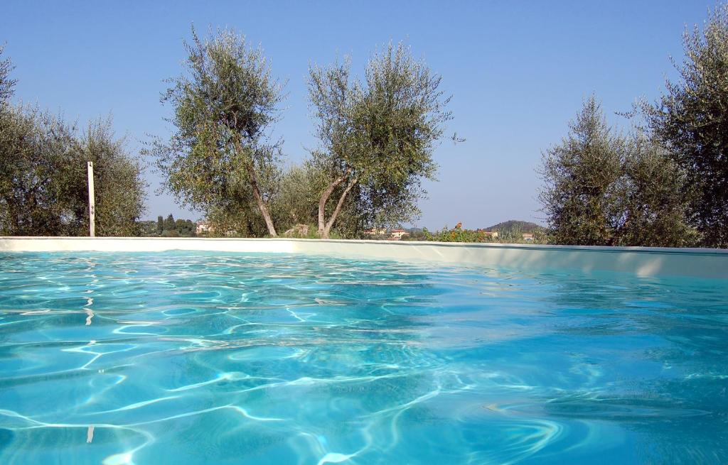 ein Pool mit blauem Wasser und Bäumen im Hintergrund in der Unterkunft Azienda Agricola Le Querce in Palaia