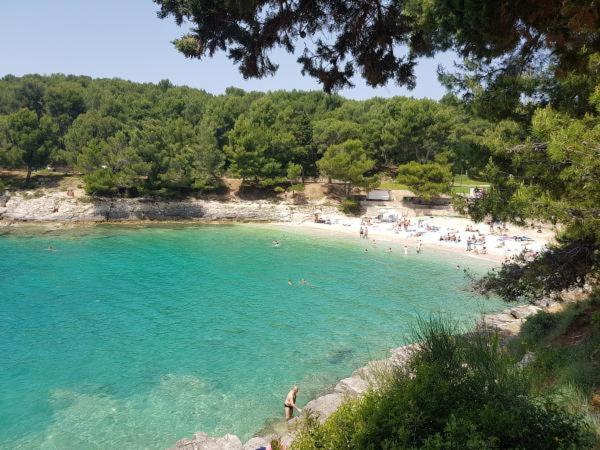 a beach with a bunch of people in the water at Studio apartman Lea in Pula