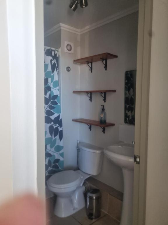 a bathroom with a toilet and a sink at Dpto santa rosa in Ovalle