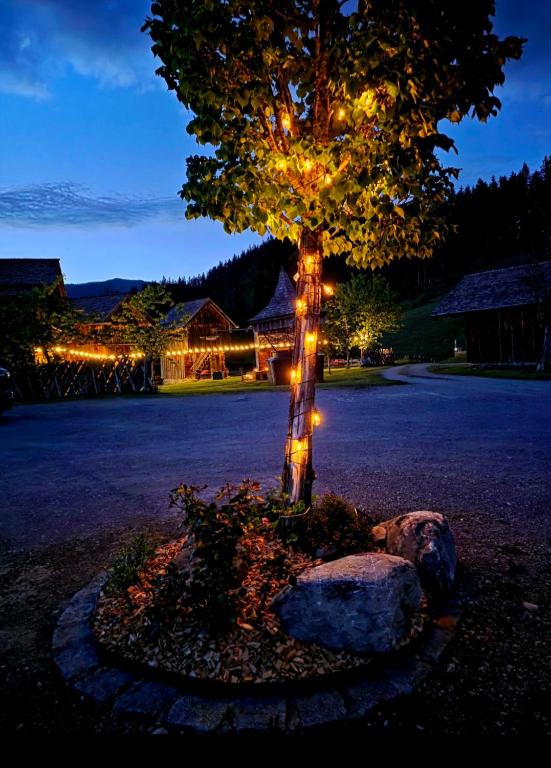 a tree with lights on it in a yard at night at Sonnleiten Zimmer 1 in Abtenau