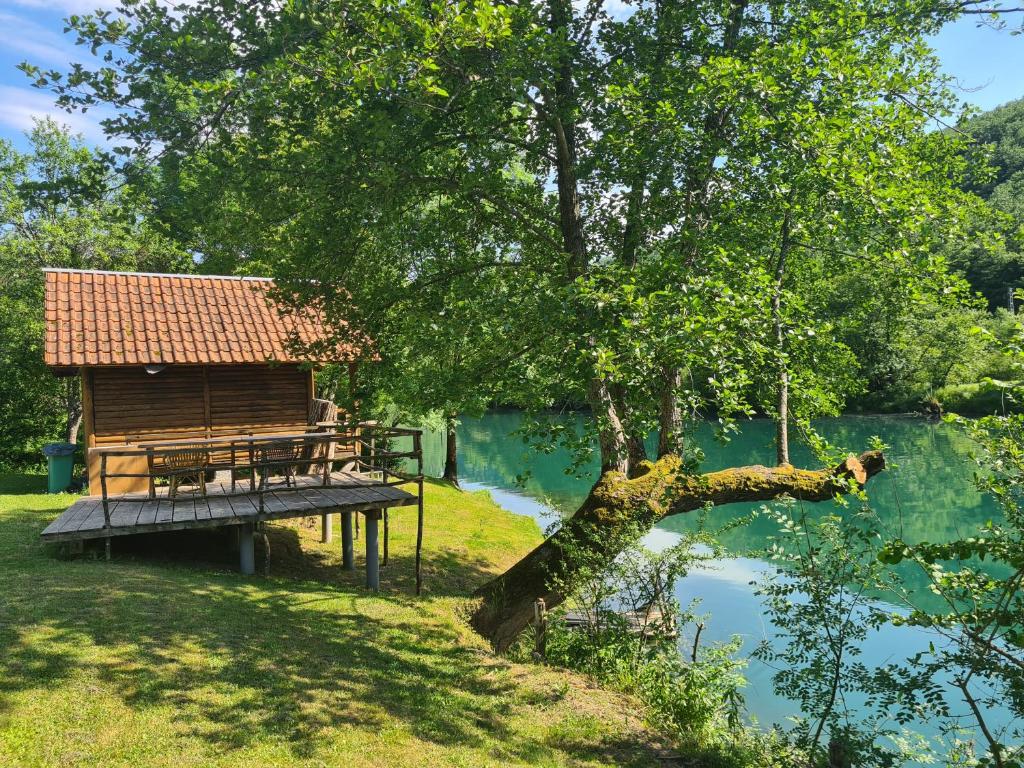 a wooden cabin next to a lake with a tree at Kamp SAN in Zaglavica