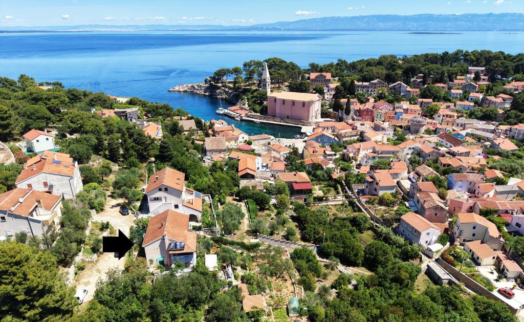 an aerial view of a small town by the water at Apartmani Nadalina in Veli Lošinj